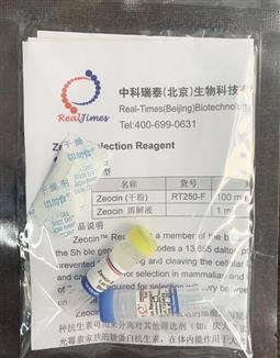 Zeocin 博來霉素